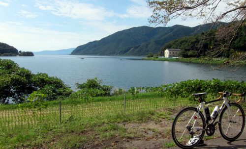 奥 琵琶湖 パーク ウェイ 自転車