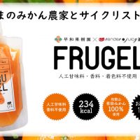 補給食「FRUGEL」フルジェル