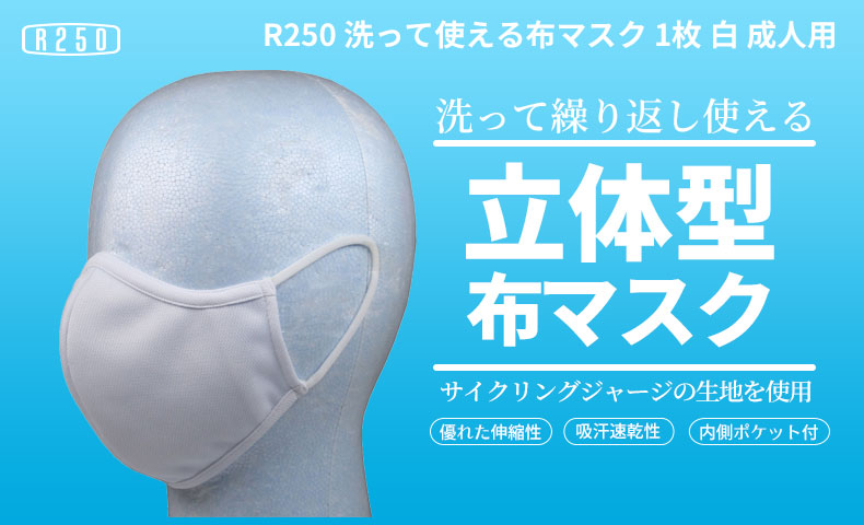 R250 洗って使える布マスク