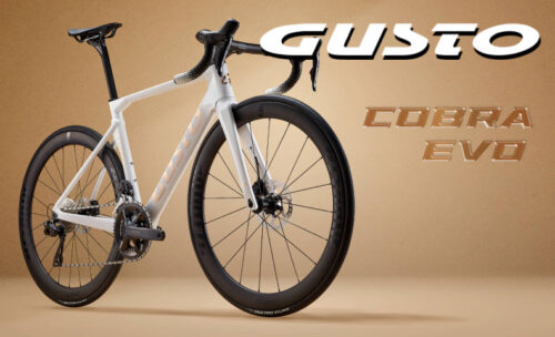 ■INNEGRAファイバー採用したGUSTO「COBRA EVO DB」の取扱いを開始しました！